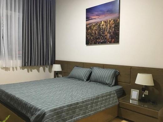 apartment for rent in the vista district 2 d203213 (4)